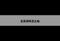 志高调码怎么贴