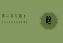 阳坊胜利涮羊肉，京城老字号的味觉传奇与文化传承