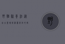 野猫驯养法，从自由灵魂到温馨伴侣的转变之路