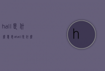 hall是什么意思（a hall是什么意思）