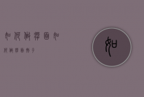 如何做扯面（如何做扯面剂子）