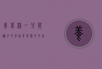 养草鸡一只能赚多少钱（家养草鸡多少钱一斤）