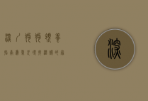 深圳狗狗领养指南,为爱犬寻找温暖的家