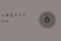 白鼬，雪地中的隐秘猎手