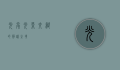 光亭，光影交织的静谧之境