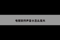电视软件声音小怎么变大