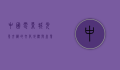 中国电影城，光影交织的文化地标与产业引擎