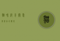 猫咪绝育，关爱与责任的体现