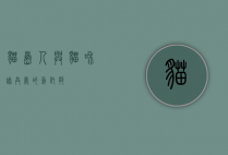猫岛，人与猫和谐共处的乌托邦