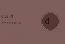 dibai，挫折中的成长与启示