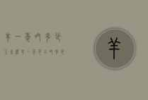 羊一年吃多少玉米么（羊一天可以吃多少玉米）