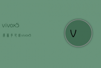 vivox5屏幕多少钱（vivox5屏幕多大）