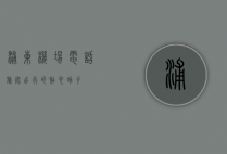 浦东机场电话，旅客出行的贴心助手