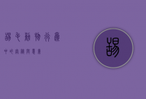 舔毛，动物行为中的奥秘与意义
