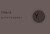 YY6619，数字时代的创新密码与未来展望