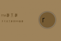 rna测艾滋多少钱（艾滋病DNA检测多少钱）