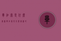 毕加索是什么画派（毕加索是什么画派的代表）