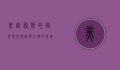 美容导师的职责，专业、服务与引领的完美结合