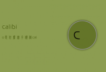 calibio是什么牌子价格（calida是什么牌子）