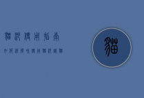 猫砂使用指南，如何选择和使用猫砂，让猫咪更舒适，家庭更清洁
