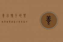 养小鸭子的乐趣与挑战，从新手到专家的全方位指南