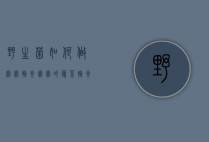 野生菌如何做宝宝辅食（宝宝的蔬菜辅食怎么做）