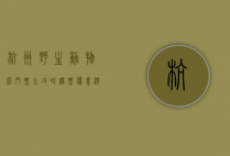 杭州野生动物园门票全攻略，购票、优惠、游玩指南一网打尽