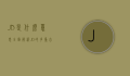 JD是什么意思？全面解析JD的多重含义与应用场景