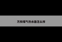 万和煤气热水器怎么样