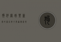 狗仔网，娱乐新闻的幕后推手与道德困境