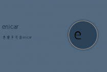 enicar市价多少钱（enicar价格）