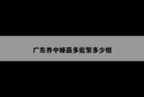 广东养中蜂最多能繁多少框