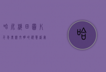 哈尼梯田图片，千年农耕文明的视觉盛宴