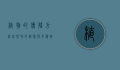 植物的传播方法，自然界的智慧与多样性
