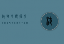 植物的传播方法，自然界的智慧与多样性