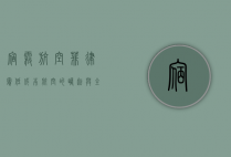 宿雾航空，菲律宾低成本航空的崛起与全球扩展