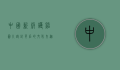 中国新版护照图片，设计背后的文化内涵与安全技术
