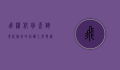 飞机航班查询，现代旅行的必备工具与实用指南