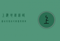 上海地铁线路图，城市脉络的智慧与便捷