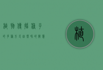 植物传播种子的多种方式，自然界的智慧与多样性