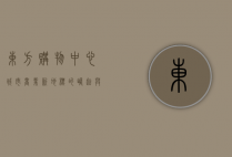 东方购物中心，城市商业新地标的崛起与发展