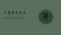 荷兰猪，从宠物到文化象征的多面魅力