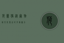 荷兰猪，从宠物到文化象征的多面魅力