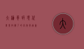 大棚养虾，现代农业技术下的高效养殖新模式