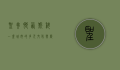 圣弗朗西斯科，一座城市的多元文化与历史交融