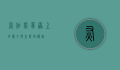灰伯劳，草原上的猎手与生态守护者