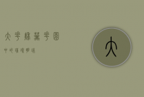 大花秋葵，花园中的璀璨明珠