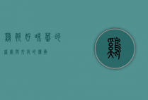鸡腿好，味蕾的盛宴与文化的传承