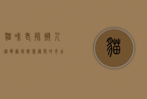 猫咪老师拟人，从萌宠到智慧导师的奇幻变身