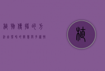 植物传播的方法，自然界的智慧与多样性